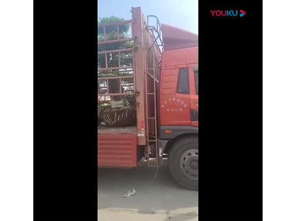合一花卉發(fā)貨視頻，發(fā)往北京